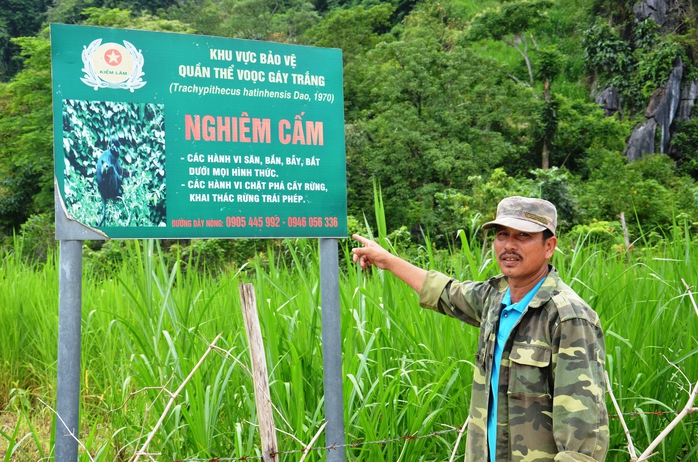 Chi gần 7 tỉ đồng để bảo tồn 22 đàn Voọc gáy trắng quý hiếm- Ảnh 2. Chi gần 7 tỉ đồng để bảo tồn 22 đàn Voọc gáy trắng quý hiếm- Ảnh 2.