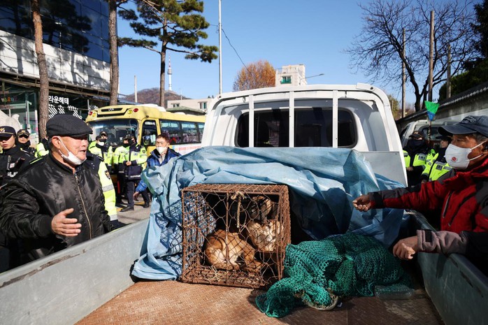 Người nuôi chó lấy thịt tiếp cận phủ tổng thống Hàn Quốc, xô xát với cảnh sát- Ảnh 2.