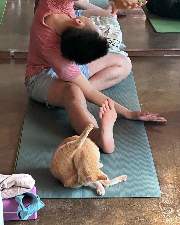 “Nữ hoàng gợi cảm” dạy Yoga tại TP HCM trước khi về nước - Ảnh 5.