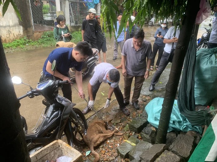 Thêm 2 trẻ em ở Đồng Nai bị chó dại cắn - Ảnh 1.
