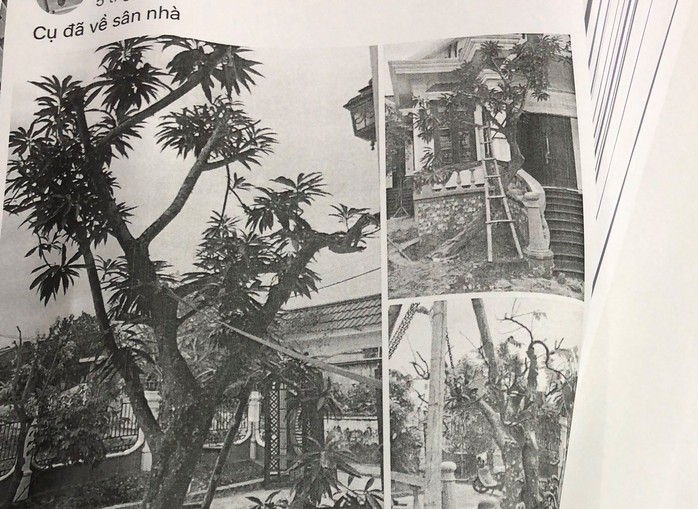 Đấu khẩu trên mạng xã hội, người đàn ông tại Đà Nẵng bị công an xử lý- Ảnh 2. Đấu khẩu trên mạng xã hội, người đàn ông tại Đà Nẵng bị công an xử lý- Ảnh 2.