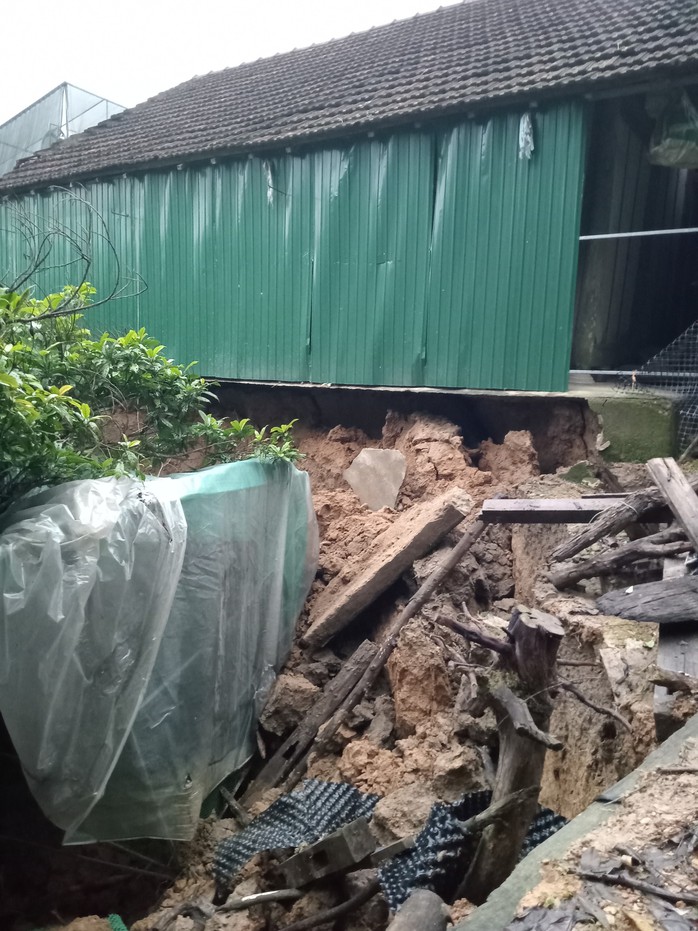 Điều tra nguyên nhân sụt lún đất bất thường tại Hà Tĩnh- Ảnh 1. Điều tra nguyên nhân sụt lún đất bất thường tại Hà Tĩnh- Ảnh 1.