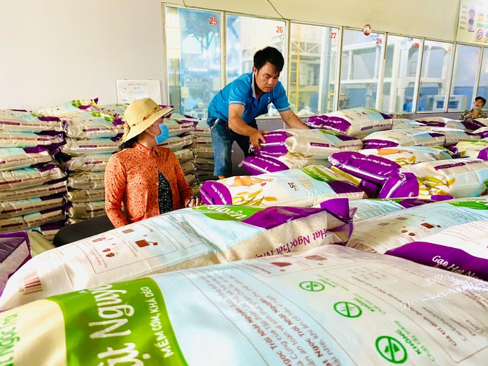 Nhà nông mong muốn lúa gạo luôn có đầu ra ổn định, giá thành ở mức cao Ảnh: NGỌC TRINH Nhà nông mong muốn lúa gạo luôn có đầu ra ổn định, giá thành ở mức cao Ảnh: NGỌC TRINH