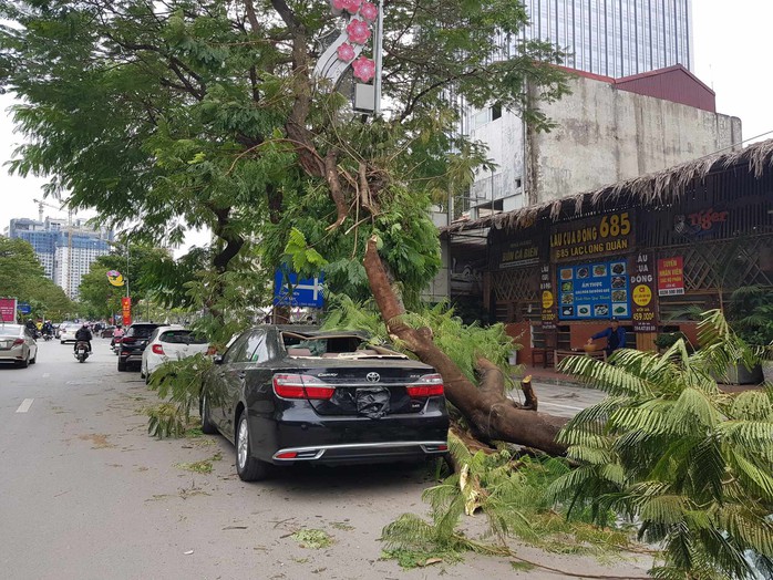 Gió mùa đông bắc mạnh làm cây gãy đổ đè bẹp ôtô Camry 2.5Q- Ảnh 2. Gió mùa đông bắc mạnh làm cây gãy đổ đè bẹp ôtô Camry 2.5Q- Ảnh 2.