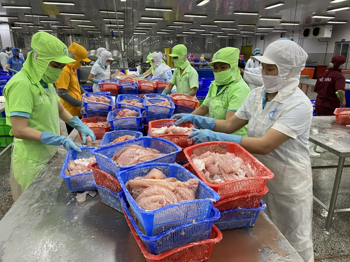 Chế biến thủy sản tại một doanh nghiệp ở miền Tây Nam BộẢnh: NGỌC TRINH Chế biến thủy sản tại một doanh nghiệp ở miền Tây Nam BộẢnh: NGỌC TRINH