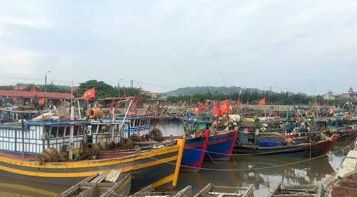 Ngư dân khốn khổ vì hoạt động đăng kiểm tàu cá tạm dừng- Ảnh 1. Ngư dân khốn khổ vì hoạt động đăng kiểm tàu cá tạm dừng- Ảnh 1.