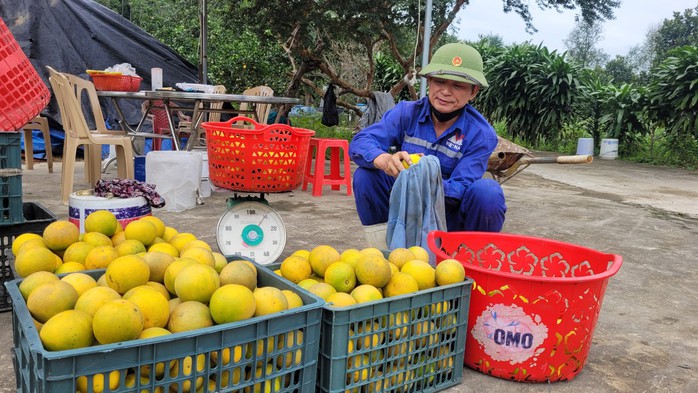 Người dân Hà Tĩnh được mùa cam, tất bật thu hoạch- Ảnh 6. Người dân Hà Tĩnh được mùa cam, tất bật thu hoạch- Ảnh 6.