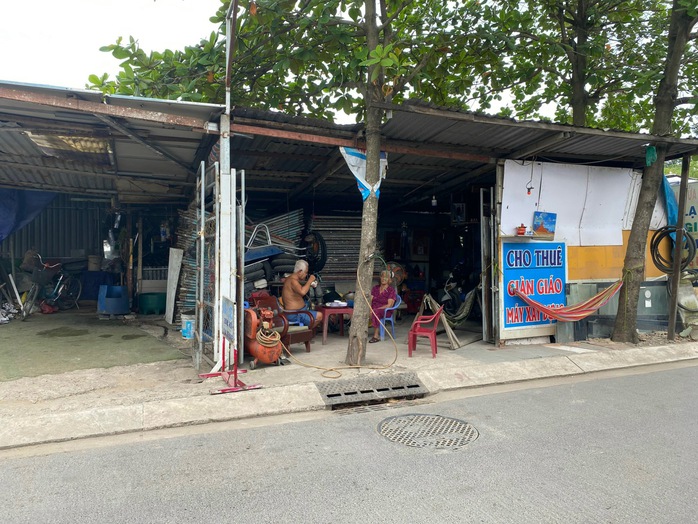 hai cây vàng hai cây vàng