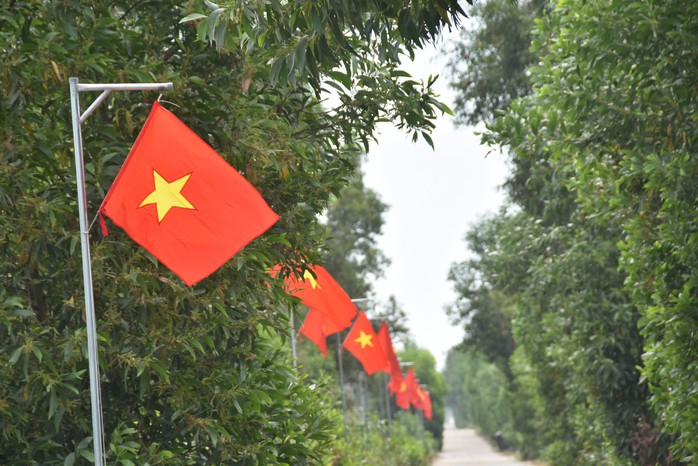 Đường cờ Tổ quốc rực sáng đường tuần tra biên giới Việt Nam – Campuchia- Ảnh 6. Đường cờ Tổ quốc rực sáng đường tuần tra biên giới Việt Nam – Campuchia- Ảnh 6.