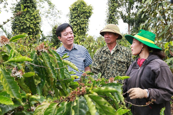 Phân bón Bình Điền 50 năm vươn ra biển lớn- Ảnh 3. Phân bón Bình Điền 50 năm vươn ra biển lớn- Ảnh 3.