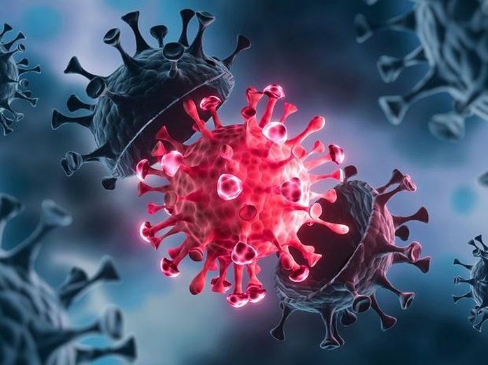 Bộ Y tế nói gì về biến thể JN.1 của virus SARS-CoV-2?- Ảnh 1. Bộ Y tế nói gì về biến thể JN.1 của virus SARS-CoV-2?- Ảnh 1.
