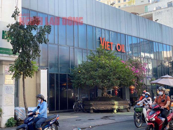 Nhiều người bị bắt giam và sự bất thường của Xuyên Việt Oil- Ảnh 2. Nhiều người bị bắt giam và sự bất thường của Xuyên Việt Oil- Ảnh 2.