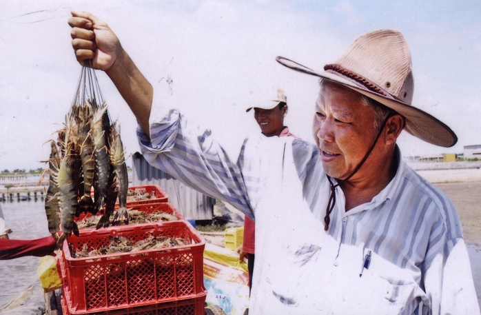 Bạc Liêu sẽ phát triển toàn diện về kinh tế biển- Ảnh 5. Bạc Liêu sẽ phát triển toàn diện về kinh tế biển- Ảnh 5.