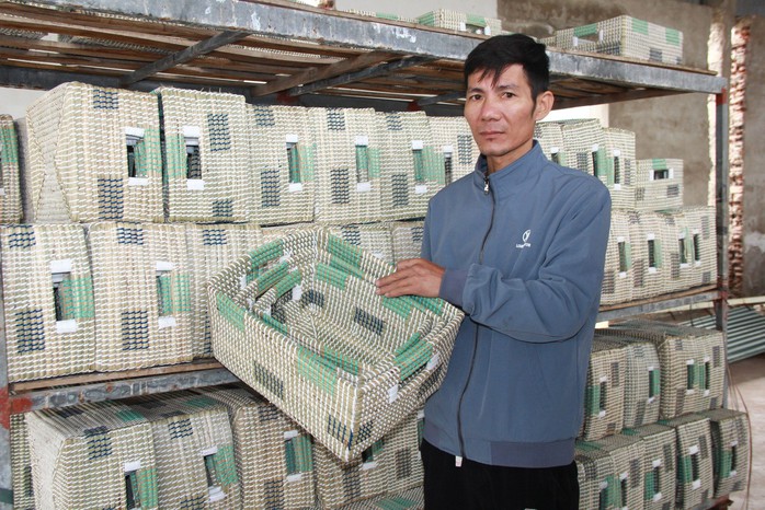 Thăng trầm chiếu cói Nga Sơn- Ảnh 4. Thăng trầm chiếu cói Nga Sơn- Ảnh 4.