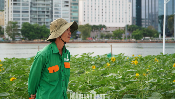 Công viên bờ sông Sài Gòn chính thức mở cửa phục vụ người dân- Ảnh 8. Công viên bờ sông Sài Gòn chính thức mở cửa phục vụ người dân- Ảnh 8.
