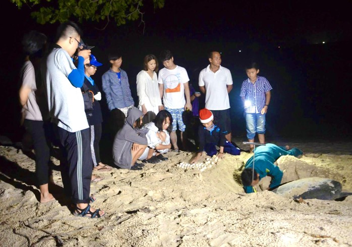 Du khách trải nghiệm tour du lịch xem rùa đẻ trứng tại Côn Đảo Du khách trải nghiệm tour du lịch xem rùa đẻ trứng tại Côn Đảo