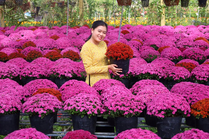 Cú hích từ festival hoa - kiểng- Ảnh 1. Cú hích từ festival hoa - kiểng- Ảnh 1.