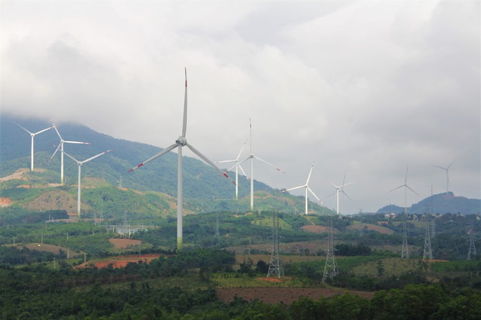Trong khó khăn, Quảng Trị vẫn vươn lên mạnh mẽ- Ảnh 7. Trong khó khăn, Quảng Trị vẫn vươn lên mạnh mẽ- Ảnh 7.