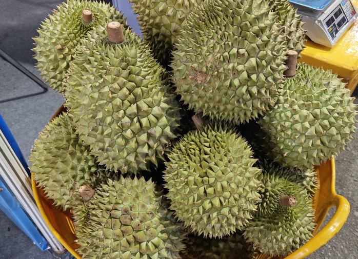 Sầu riêng đông lạnh xuất khẩu sang Thái Lan nhiều nhất- Ảnh 1. Sầu riêng đông lạnh xuất khẩu sang Thái Lan nhiều nhất- Ảnh 1.