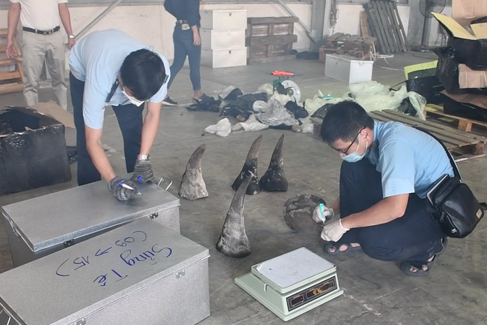 Tiêu hủy gần 10 tấn gồm ngà voi, sừng tê giác… trị giá 300 tỉ đồng ở Quảng Nam - Ảnh 6.