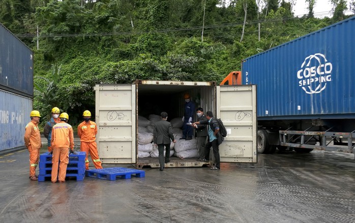 Tiêu hủy gần 10 tấn gồm ngà voi, sừng tê giác… trị giá 300 tỉ đồng ở Quảng Nam - Ảnh 1.