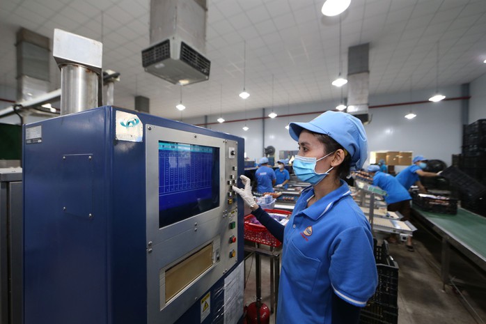 Phát huy tinh thần dấn thân của doanh nhân trẻ- Ảnh 2. Phát huy tinh thần dấn thân của doanh nhân trẻ- Ảnh 2.