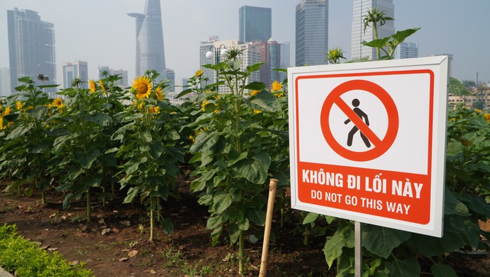 Nhiều người chưa có ý thức giữ gìn khi đến công viên bờ sông Sài Gòn- Ảnh 9. Nhiều người chưa có ý thức giữ gìn khi đến công viên bờ sông Sài Gòn- Ảnh 9.