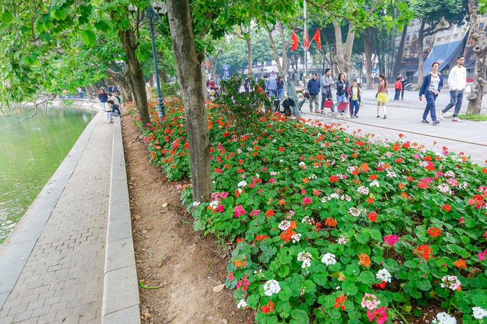 Phố phường Hà Nội trang hoàng chào đón năm mới 2024- Ảnh 3.