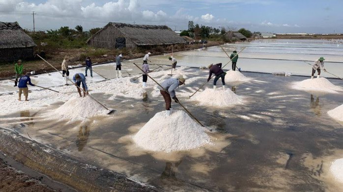 Chủ tịch tỉnh Bạc Liêu: Diêm dân đổi nghề vì thu nhập thấp!- Ảnh 2. Chủ tịch tỉnh Bạc Liêu: Diêm dân đổi nghề vì thu nhập thấp!- Ảnh 2.