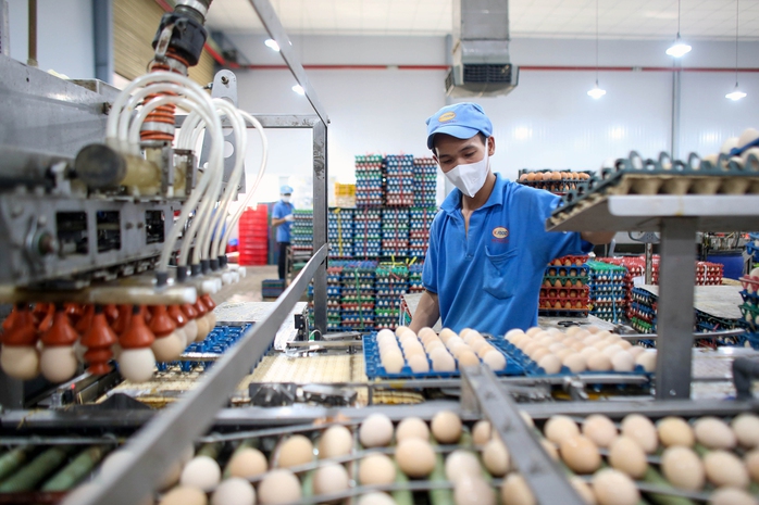 Doanh nghiệp nỗ lực kích cầu cuối năm- Ảnh 1. Doanh nghiệp nỗ lực kích cầu cuối năm- Ảnh 1.