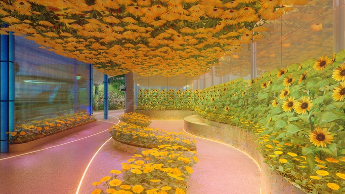Triển lãm nghệ thuật tương tác đa giác quan Van Gogh đầu tiên tại Việt Nam chính thức đón công chúng- Ảnh 10. Triển lãm nghệ thuật tương tác đa giác quan Van Gogh đầu tiên tại Việt Nam chính thức đón công chúng- Ảnh 10.