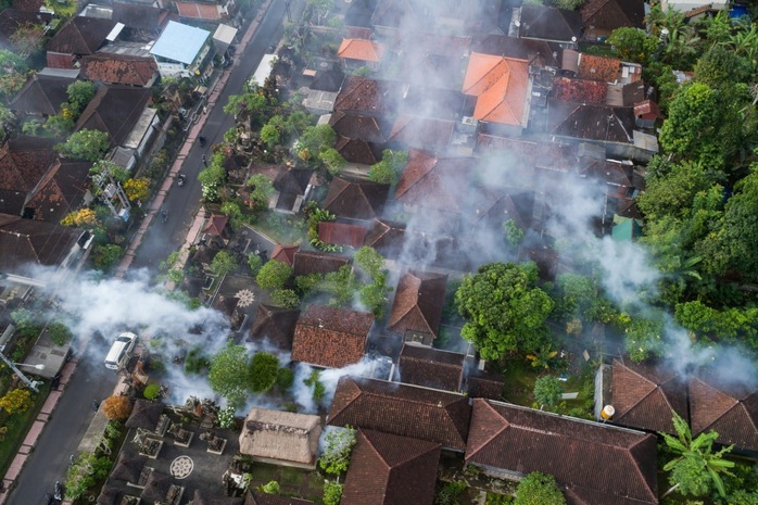 Indonesia: Kế hoạch thả 200 triệu con muỗi ở Bali bị chỉ trích- Ảnh 2. Indonesia: Kế hoạch thả 200 triệu con muỗi ở Bali bị chỉ trích- Ảnh 2.