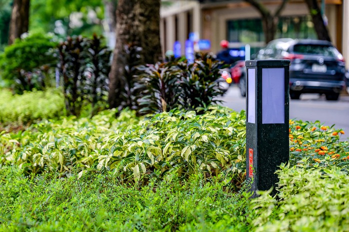 Cận cảnh vườn hoa được đầu tư 3 tỉ đồng để cải tạo- Ảnh 11. Cận cảnh vườn hoa được đầu tư 3 tỉ đồng để cải tạo- Ảnh 11.
