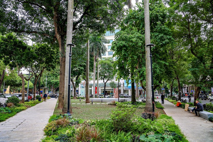 Cận cảnh vườn hoa được đầu tư 3 tỉ đồng để cải tạo- Ảnh 9. Cận cảnh vườn hoa được đầu tư 3 tỉ đồng để cải tạo- Ảnh 9.