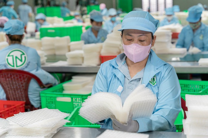 Công ty TNHH Tân Nhiên cấp tập sản xuất hàng Tết Công ty TNHH Tân Nhiên cấp tập sản xuất hàng Tết