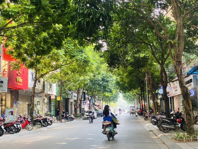 Đường phố nở hoa- Ảnh 1. Đường phố nở hoa- Ảnh 1.