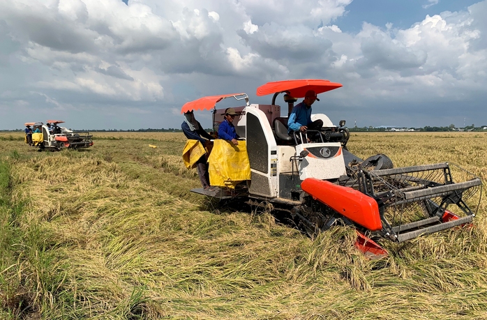 Bội thu ngay từ đầu năm - Ảnh 1.