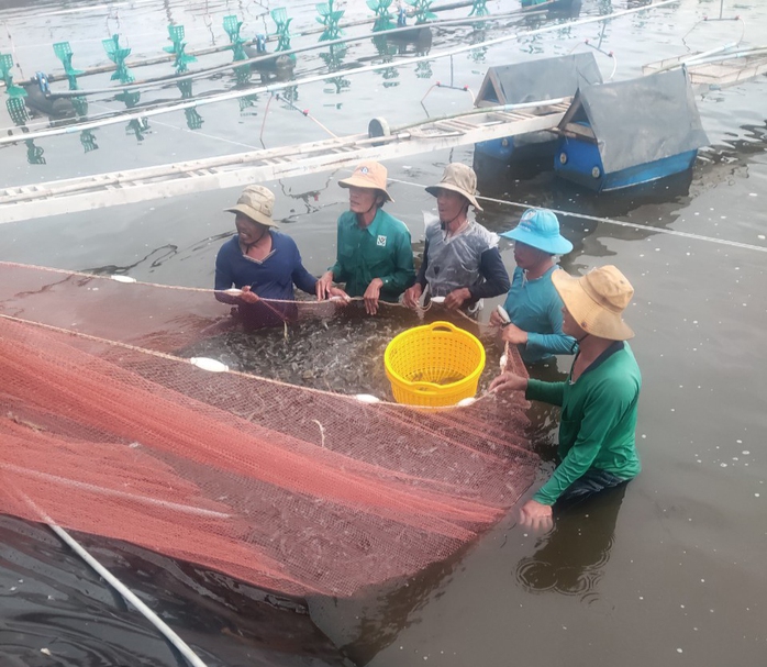 Bội thu ngay từ đầu năm - Ảnh 3.