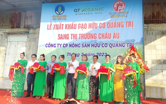 Xuất khẩu 15 tấn gạo hữu cơ Quảng Trị sang Châu Âu - Ảnh 1.