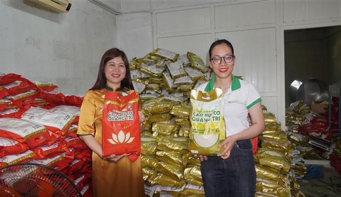 Xuất khẩu 15 tấn gạo hữu cơ Quảng Trị sang châu Âu - Ảnh 1.