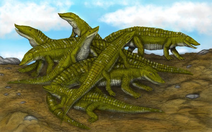 Vén màn bí ẩn khủng long lai đại bàng, cá sấu hơn 200 triệu tuổi - Ảnh 2.