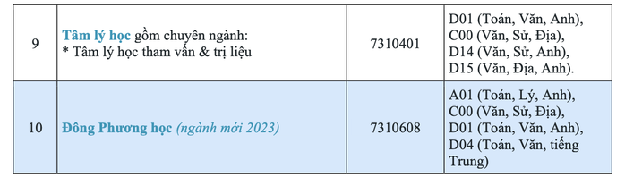 Trường ĐH Quốc tế Sài Gòn mở 2 ngành mới - Ảnh 2.