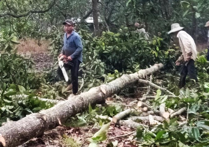 Động thái mạnh của Đồng Nai trong vụ phá rừng phòng hộ tại Xuân Lộc - Ảnh 1.