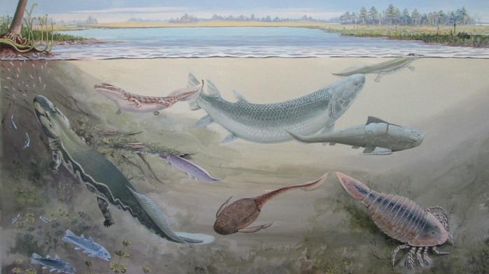 Phát hiện hài cốt thủy quái 360 triệu tuổi chuyên săn tổ tiên loài người - Ảnh 1.