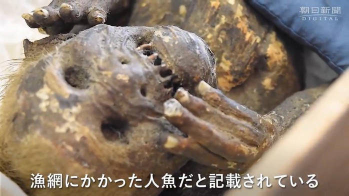 Quét CT xác ướp “nàng tiên cá” Nhật Bản: Thêm sự thật rùng rợn - Ảnh 2.