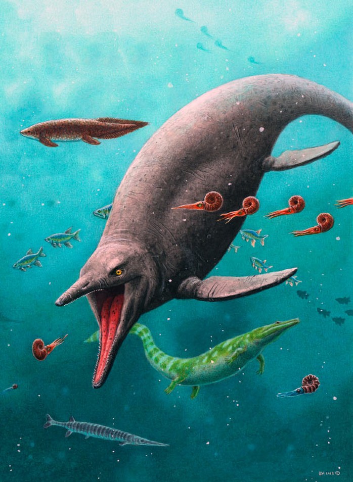 Ngư long cổ xưa nhất thế giới hiện ra ở Bắc Cực sau 250 triệu năm - Ảnh 1.