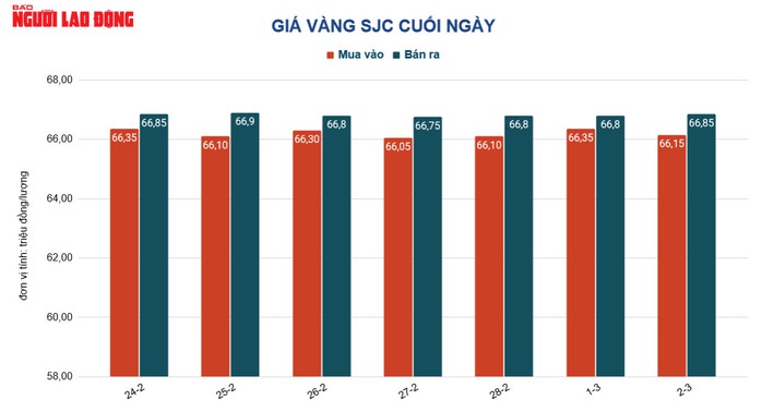 Giá vàng hôm nay 3-3: Nhiều quốc gia tăng sức mua, vàng vẫn giảm giá - Ảnh 2.