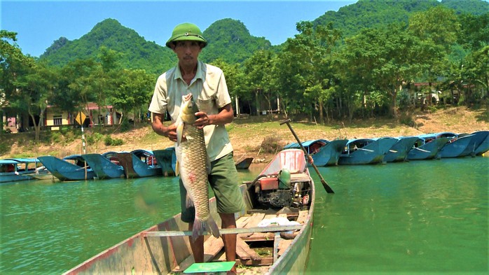 Đặc sản cá trắm nuôi trên sông Son - Ảnh 1.