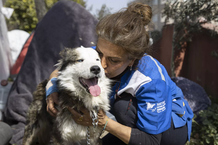 CLIP: Giải cứu chú chó mắc kẹt 22 ngày dưới đống đổ nát thảm họa động đất ở Thổ Nhĩ Kỳ - Ảnh 2.