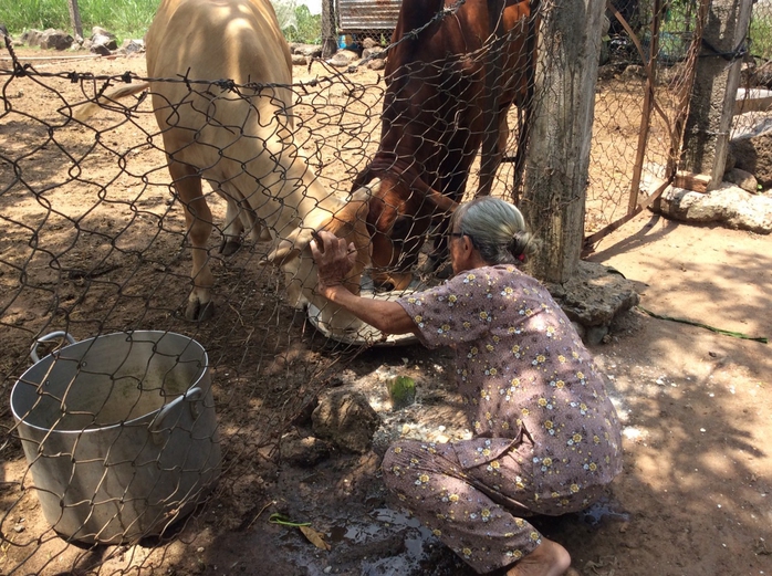 Bà lão bao đồng nơi xóm núi - Ảnh 1.